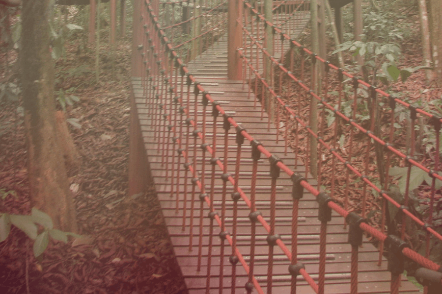 Aktiviti di KL Forest Eco Park (Hutan Bandar Kuala Lumpur)