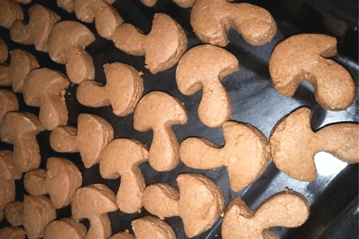 3 Resepi Biskut Nestum