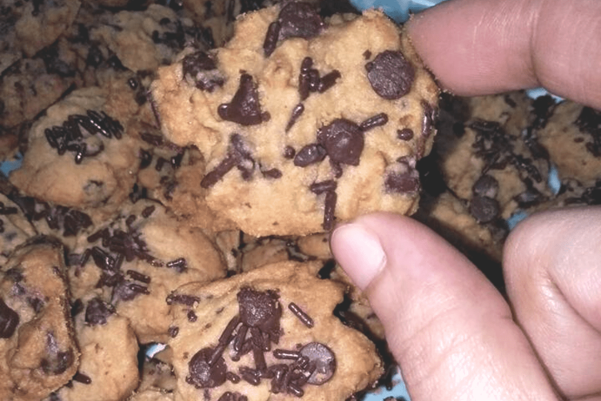 3 Resepi Biskut Coklat Chip