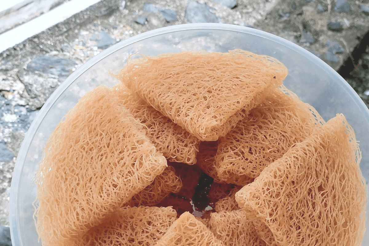 4 Resepi Kuih Karas