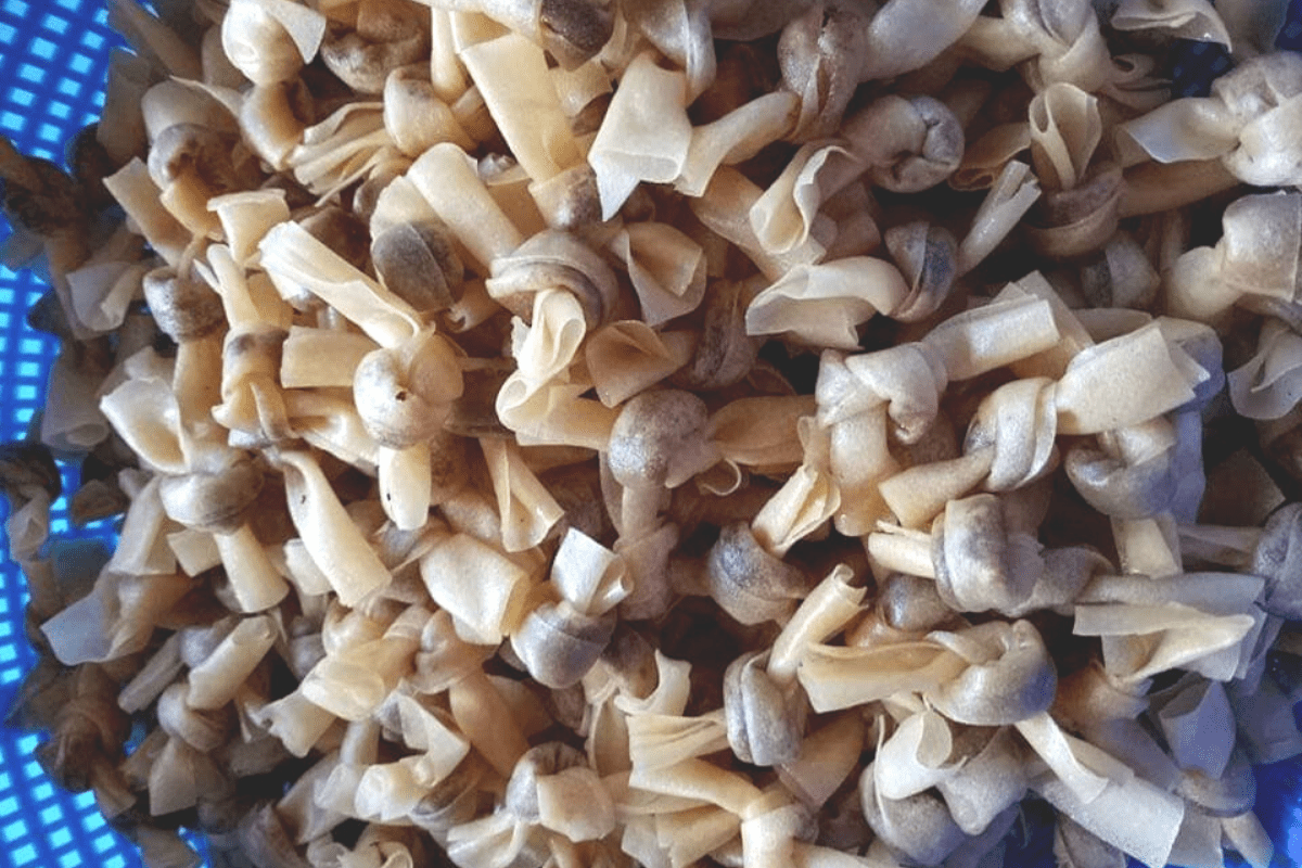 3 Resepi Popia Simpul Kasih