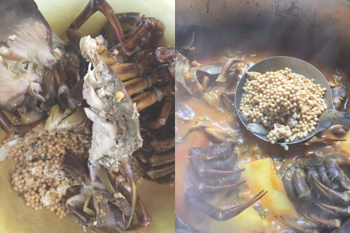 4 Resepi Belangkas