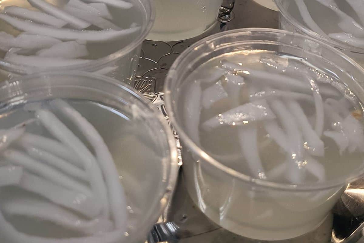 4 Resepi Jelly Kelapa