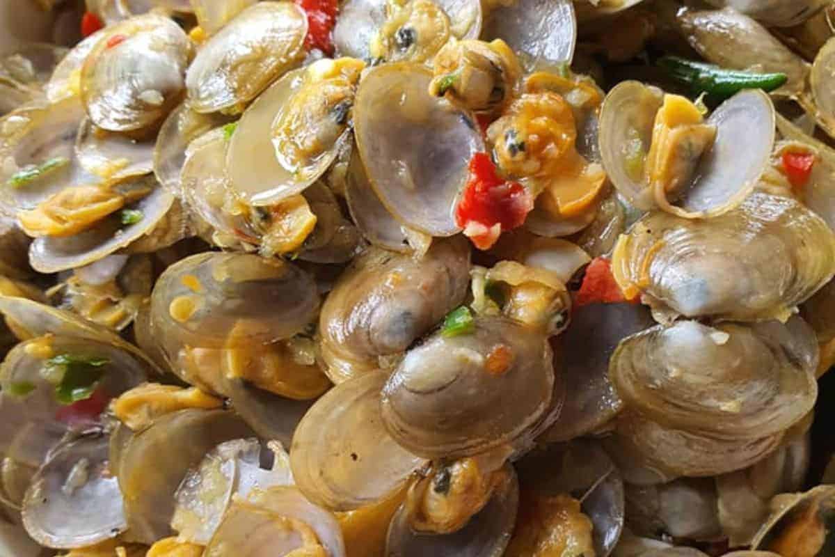 4 Resepi Siput Lala