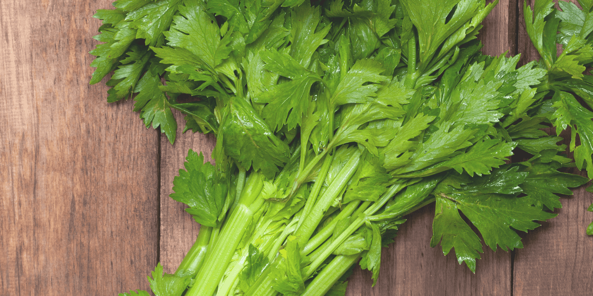 Beza Daun Sup dan Daun Ketumbar